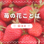 <span class="title">苺の花ことばの口コミが話題！贈り物にも喜ばれる安心・高級いちご【人気ランキング付き】</span>